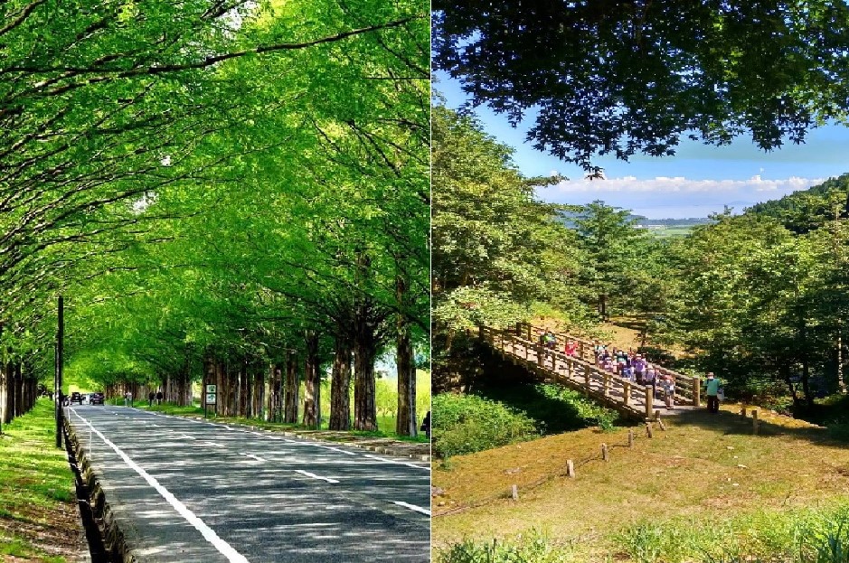 22 滋賀県高島市 森と未来 森林浴 Shinrin Yoku で都会の人と 地域の森を繋ぐ