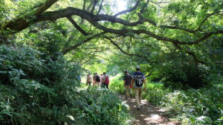 f0b59f3b0f23f2cfcceedf2ab57cba