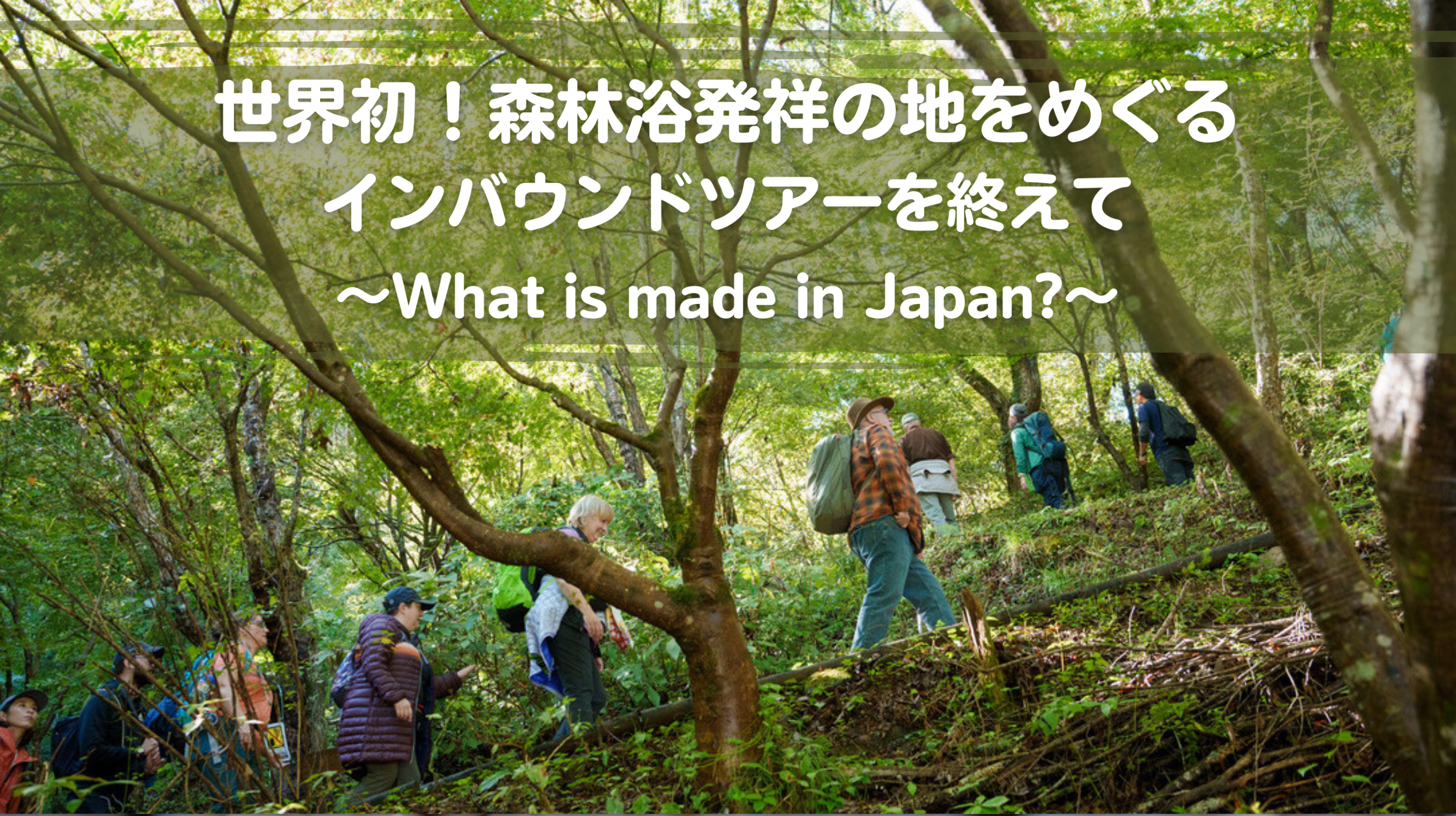 世界初！森林浴発祥の地をめぐるインバウンドツアーを終えて〜What is